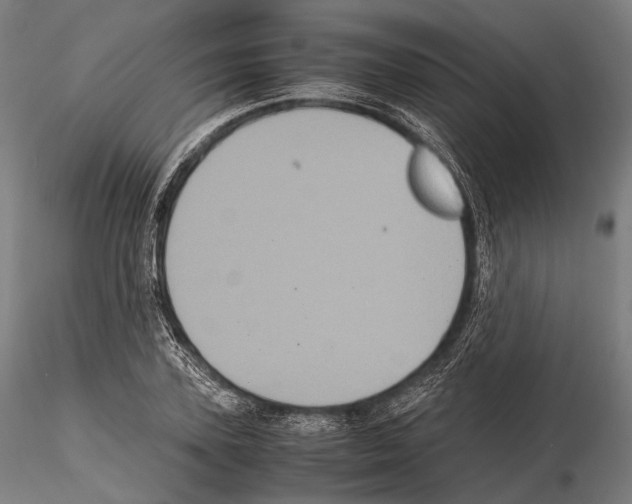 X0000114700931200912021105