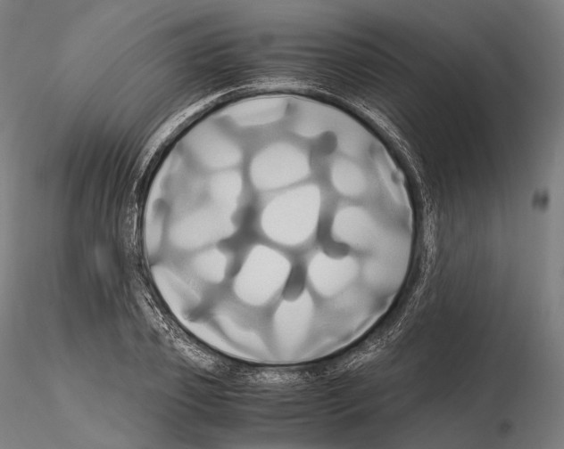 X0000114700933200912021105