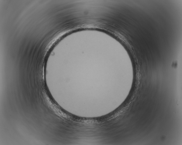 X0000114700934200912021105