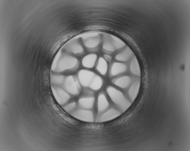 X0000114700937200912021105