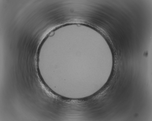 X0000114700942200912021105