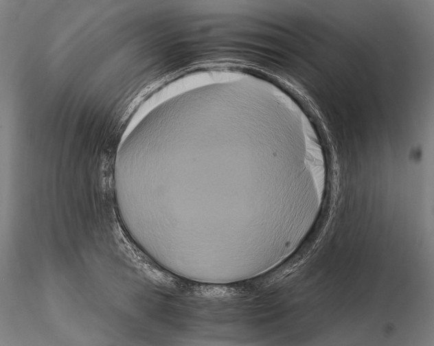 X0000114700945200912021105