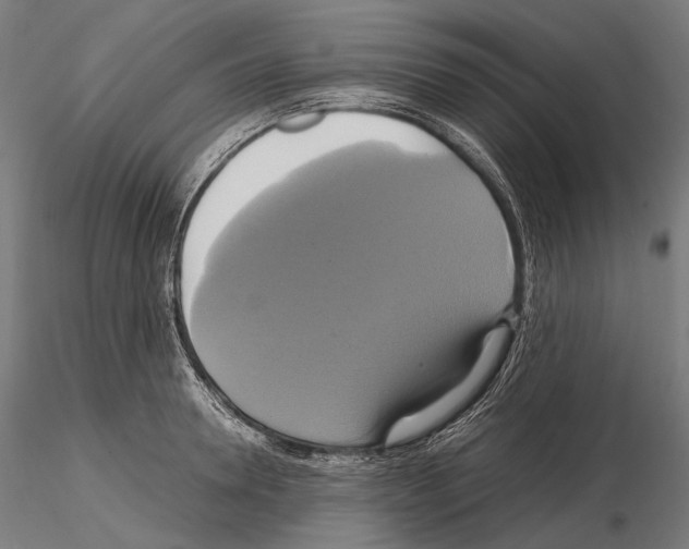 X0000114700946200912021105