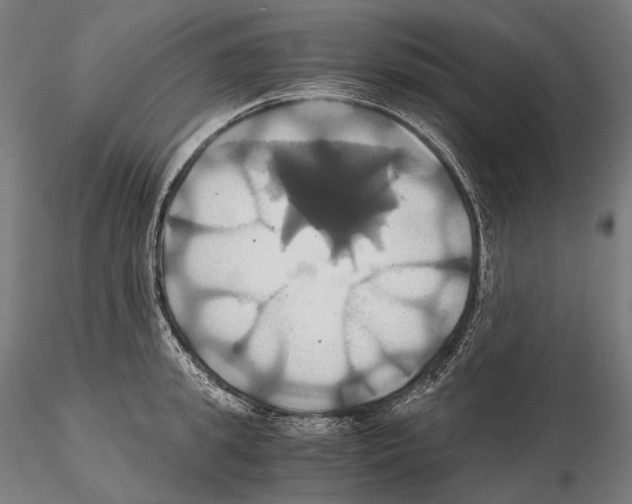 X0000114700949200912021105