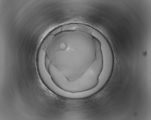 X0000114700950200912021105