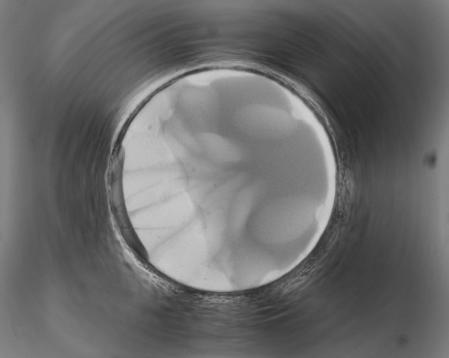 X0000114700951200912021105