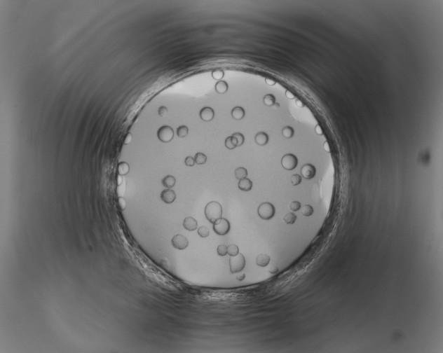 X0000114700953200912021105