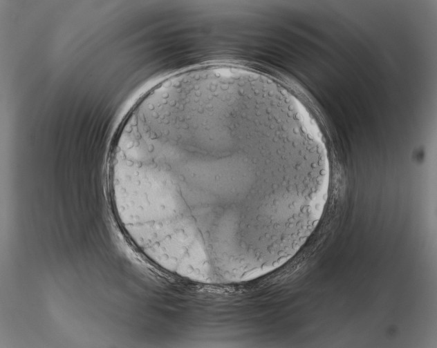 X0000114700955200912021105