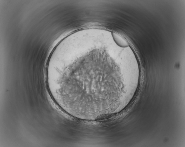 X0000114700957200912021105