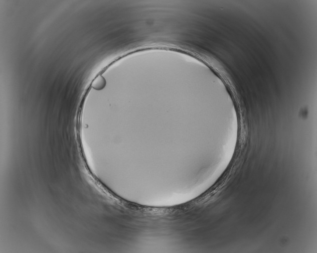 X0000114700958200912021105