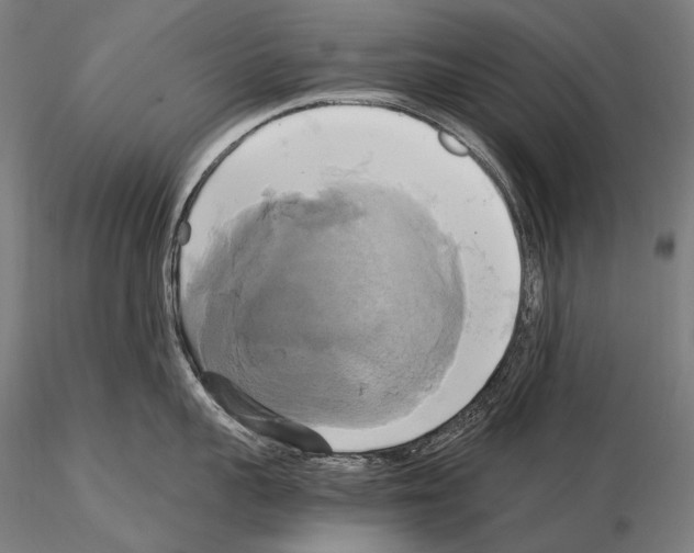 X0000114700959200912021105