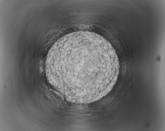 X0000114700962200912021104