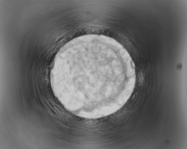 X0000114700964200912021104