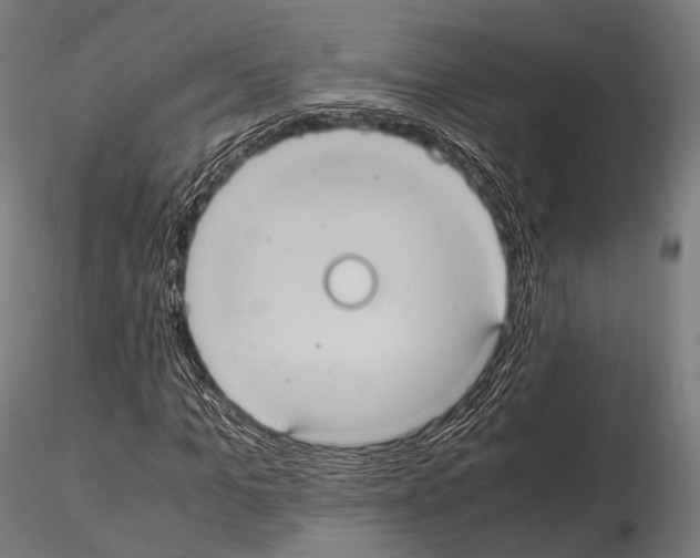 X0000114700965200912021104