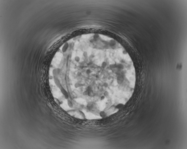 X0000114700967200912021104