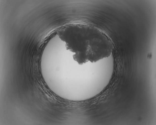 X0000114700968200912021104