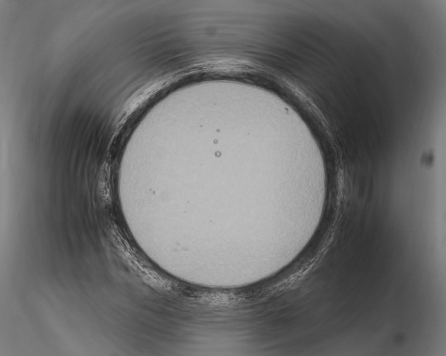 X0000114700970200912021104