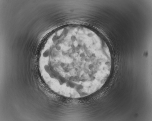 X0000114700971200912021104