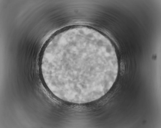 X0000114700972200912021104