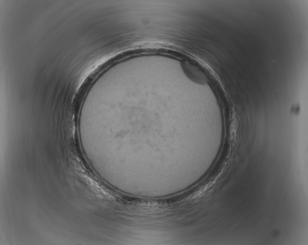 X0000114700973200912021104