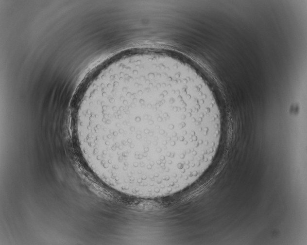 X0000114700974200912021104