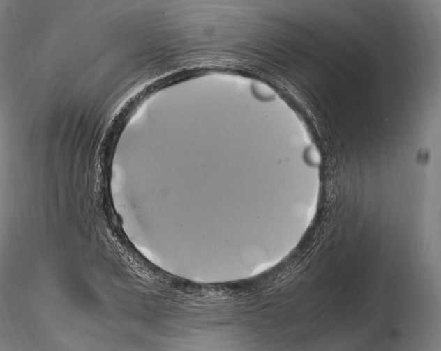 X0000114700975200912021104