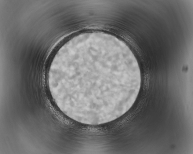 X0000114700976200912021104