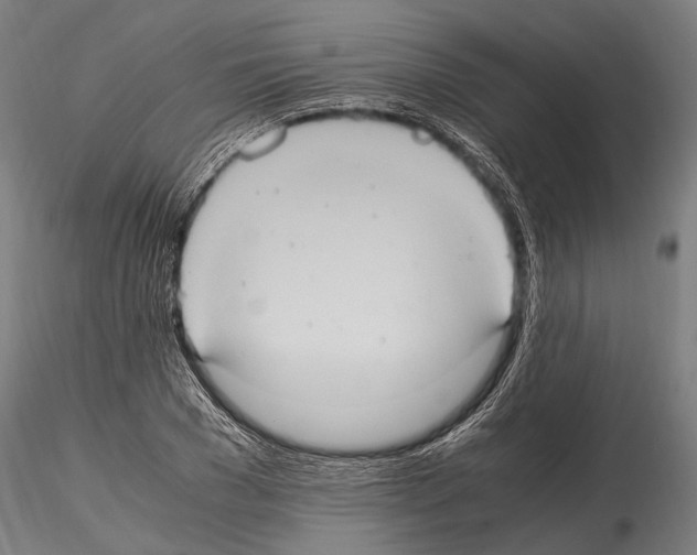 X0000114700977200912021104