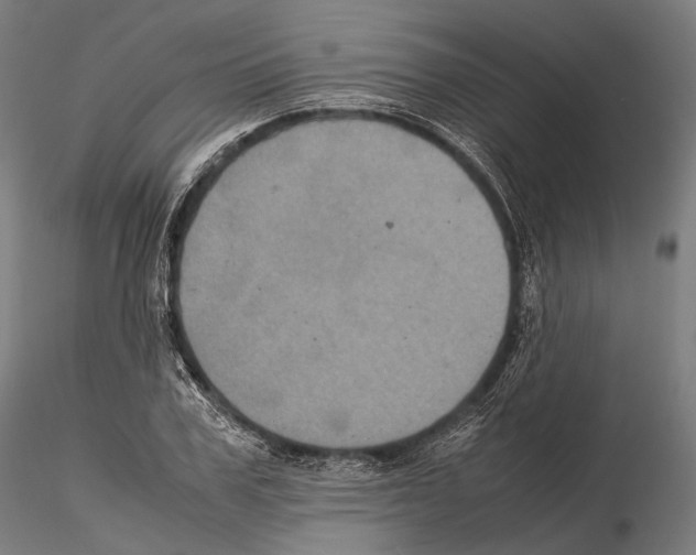 X0000114700979200912021104