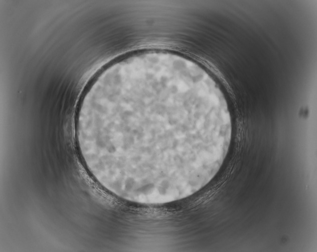 X0000114700980200912021104