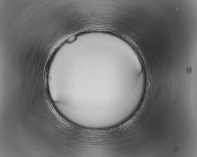 X0000114700981200912021104