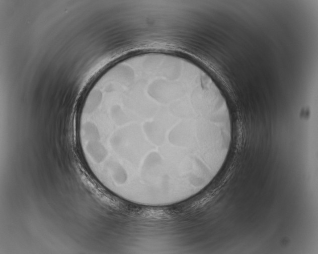 X0000114700982200912021104