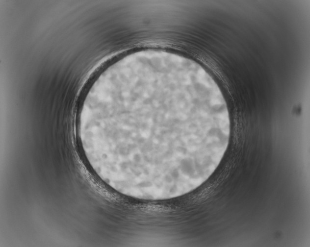 X0000114700984200912021104