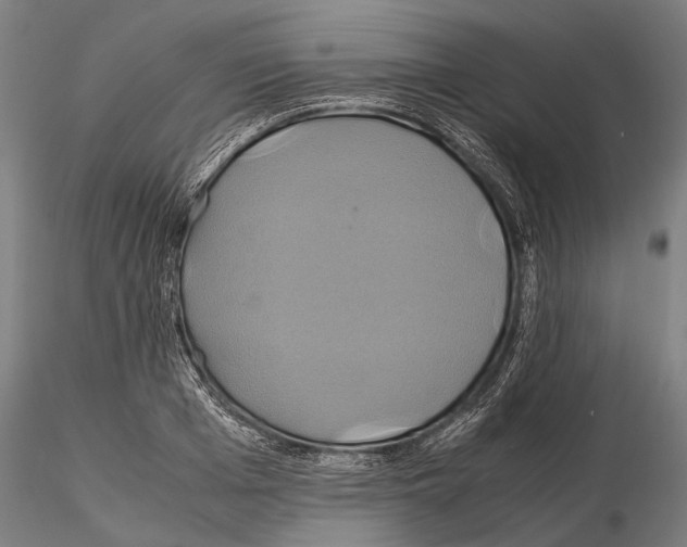 X0000114700985200912021104