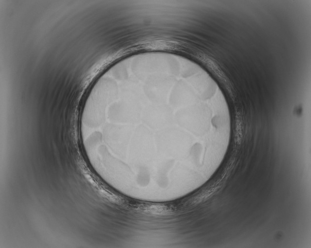 X0000114700986200912021104