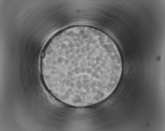 X0000114700988200912021104