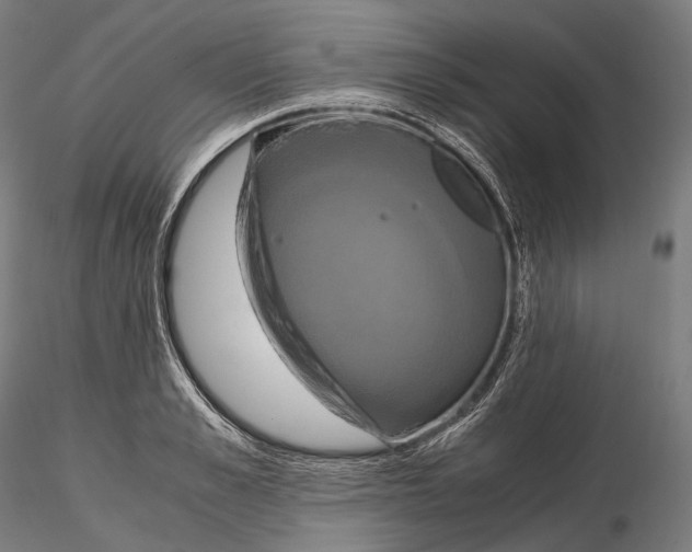 X0000114700989200912021104