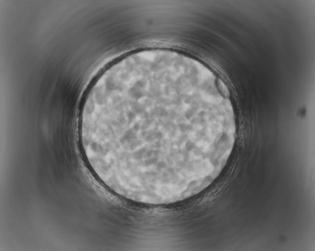 X0000114700992200912021104