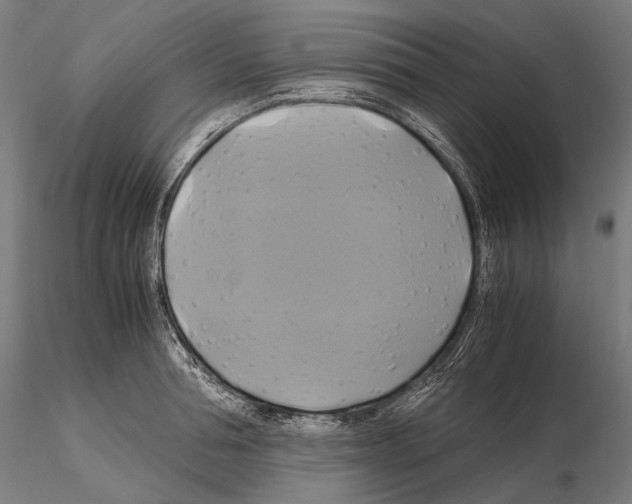 X0000114700994200912021104