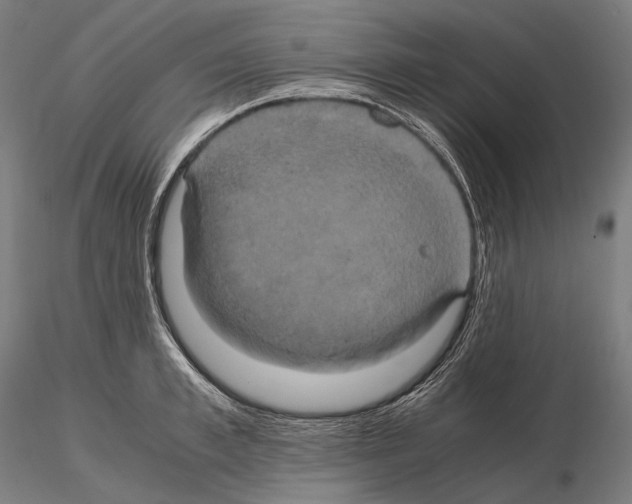 X0000114700997200912021104