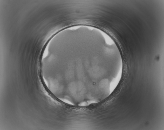 X0000114700999200912021104