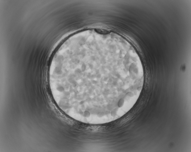 X0000114701000200912021104