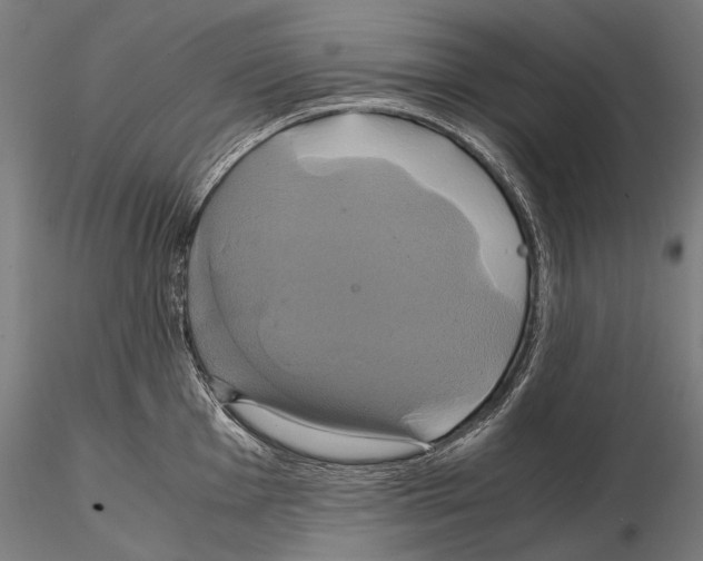 X0000114701001200912021104