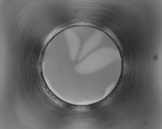 X0000114701002200912021104