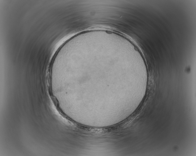 X0000114701003200912021104