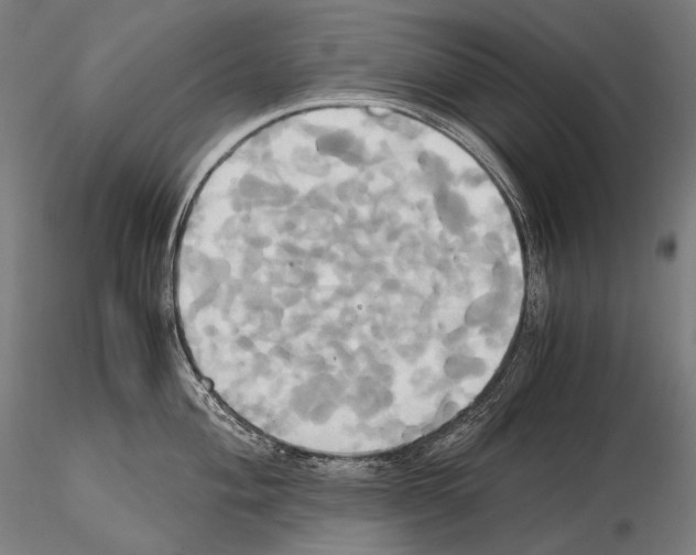 X0000114701004200912021104