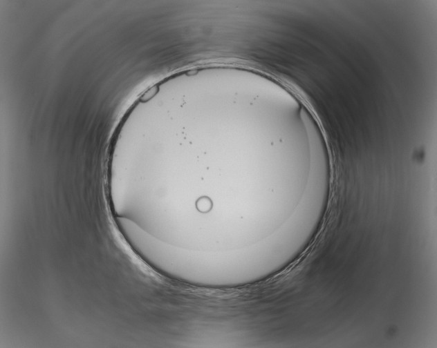 X0000114701005200912021104