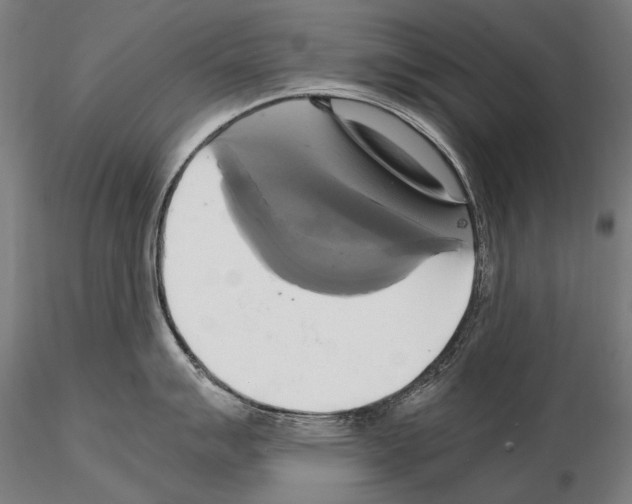 X0000114701007200912021104