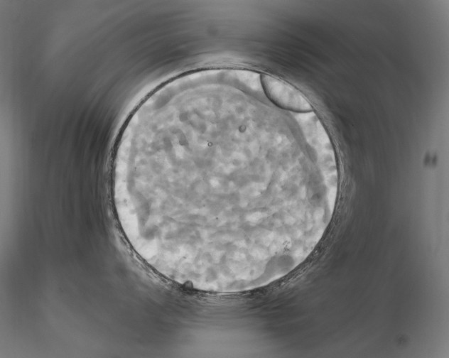 X0000114701008200912021104