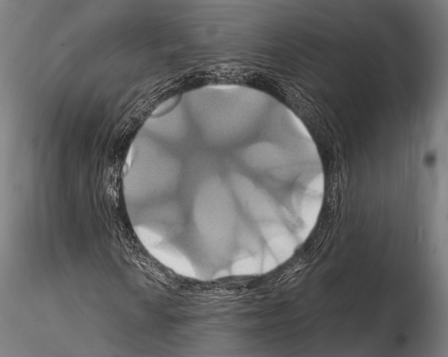 X0000114701010200912021103